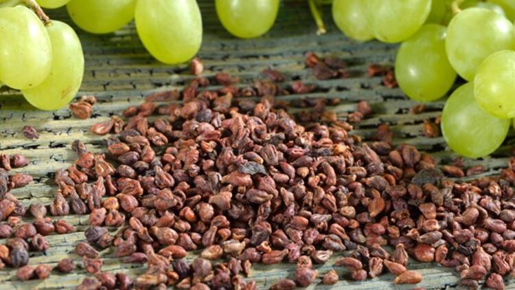 بذور العنب