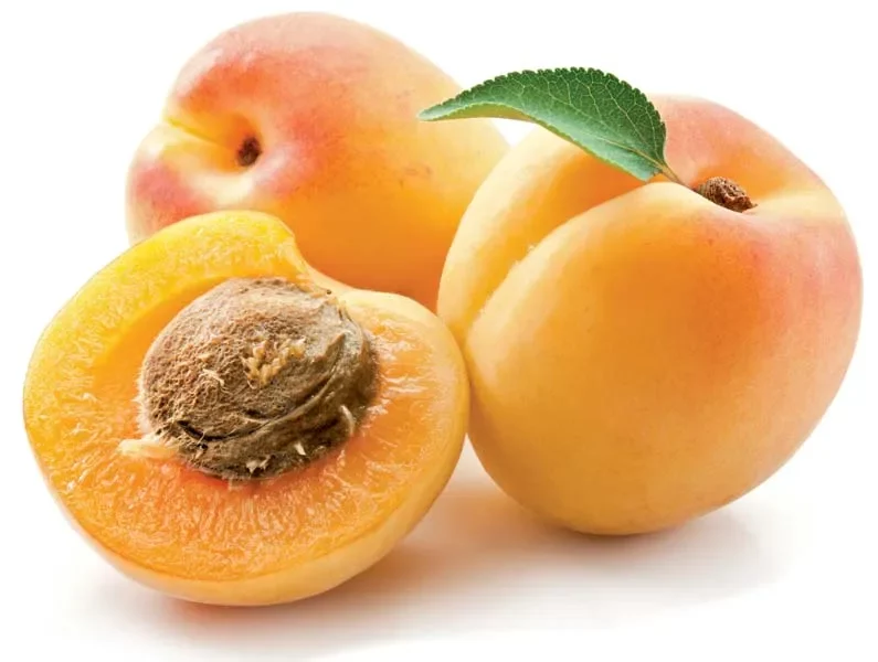 apricot