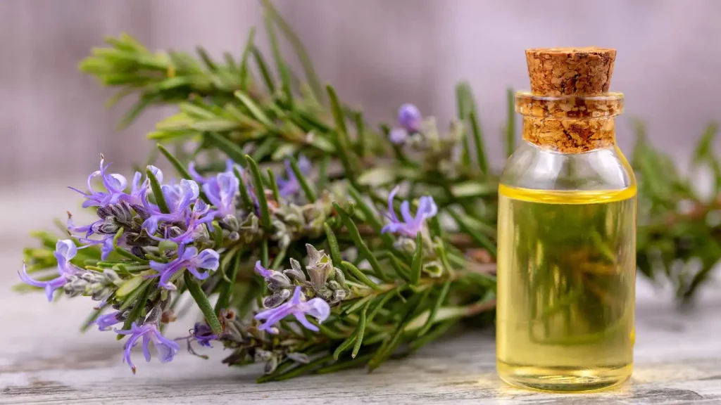 Rosemary oil