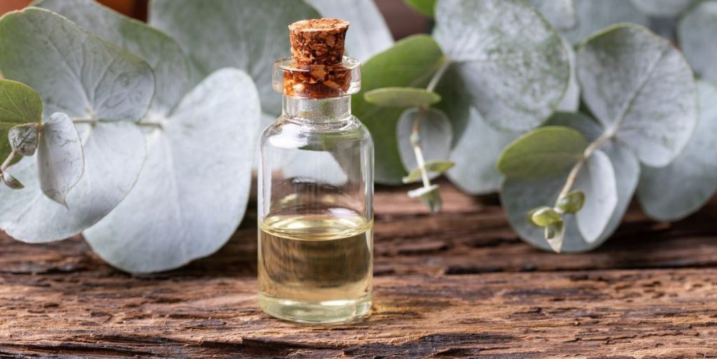 Eucalyptus oil