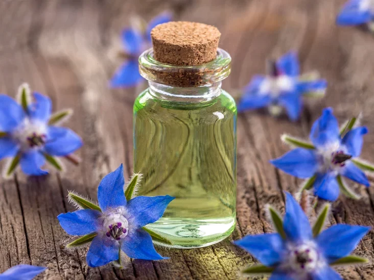 Borage oil