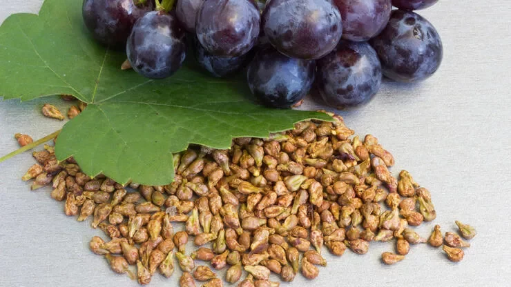 grape seeds