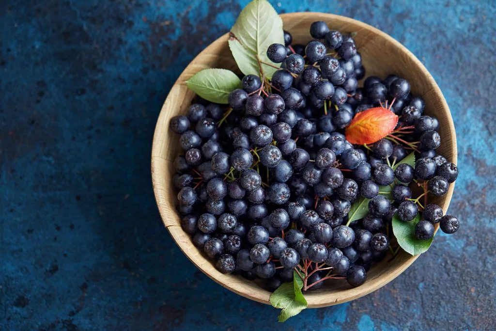 Aronia berries