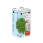 شاي الماتشا الأصلي