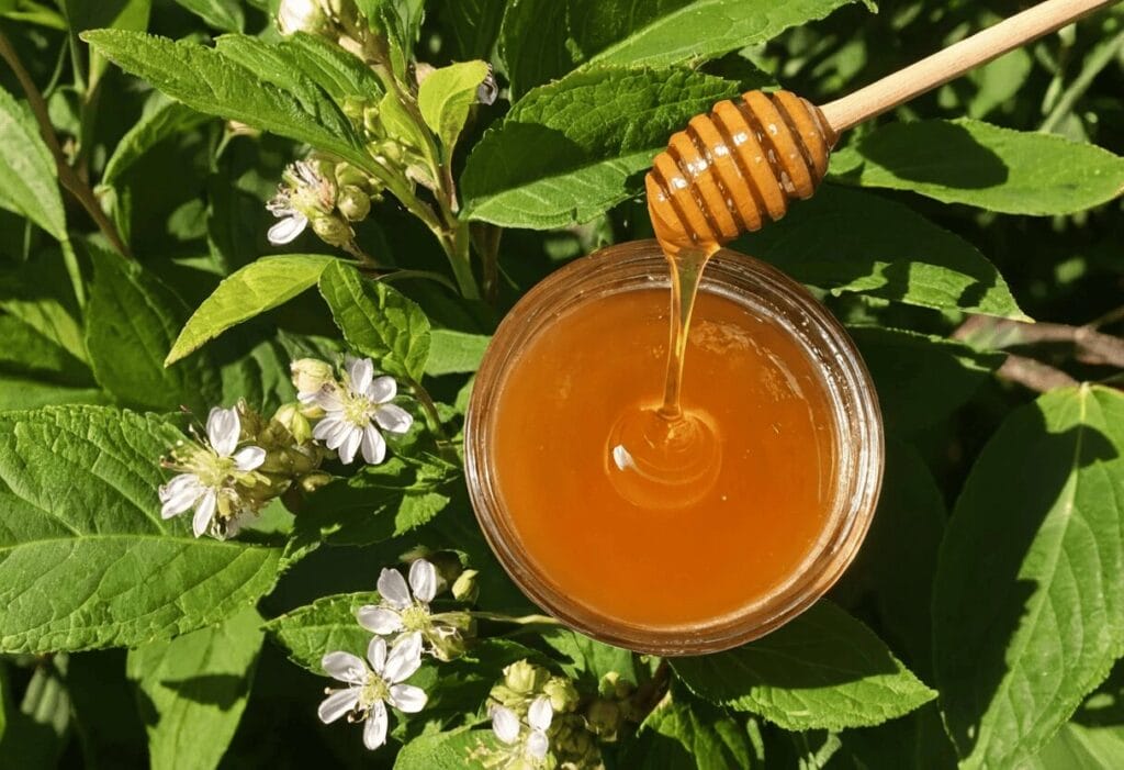 8 أفكار لوصفات صحية باستخدام العسل التركي في مطبخك اليومي