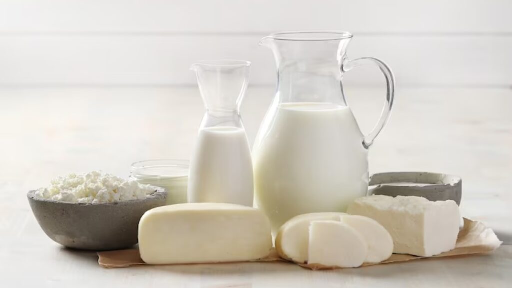 هل منتجات الالبان تزيد الوزن فعلاً ؟