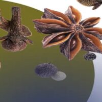 العطار التركي