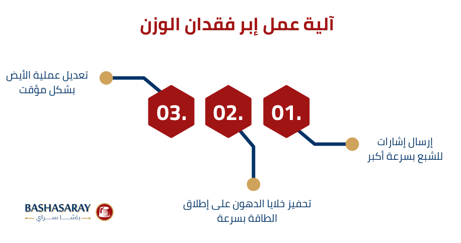 آلية عمل إبر فقدان الوزن